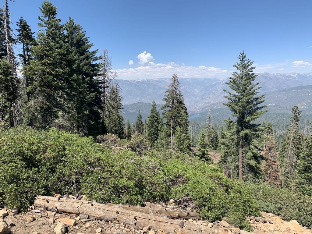 The mountain view at Sequoia National Park.