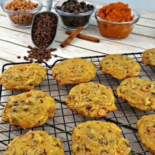 Close up of pumpkin butterscotch cookies.