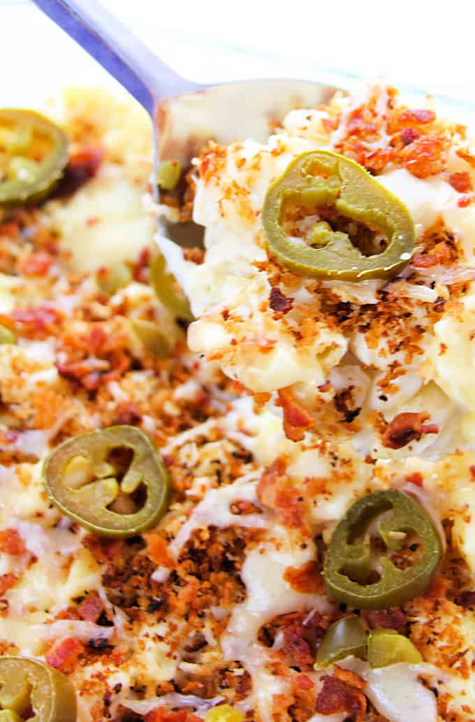 A casserole dish filled with jalapeno bacon mac and cheese topped with breadcrumbs, sliced jalapenos, and cheese. 
