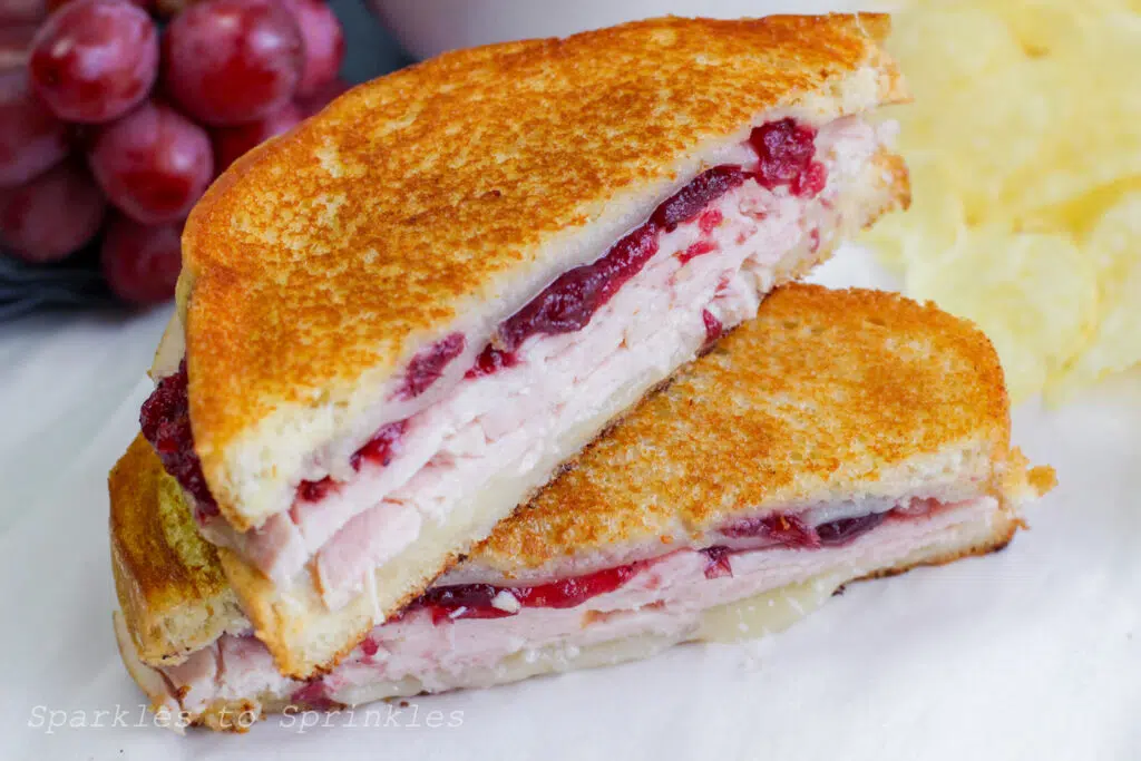 Grilled turkey and cheese sandwich with cranberry sauce.