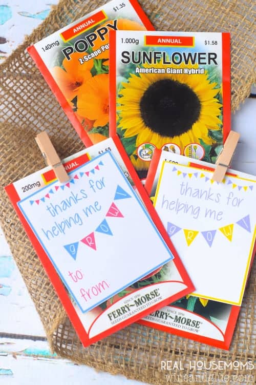 Seed packets with printable gift tags.