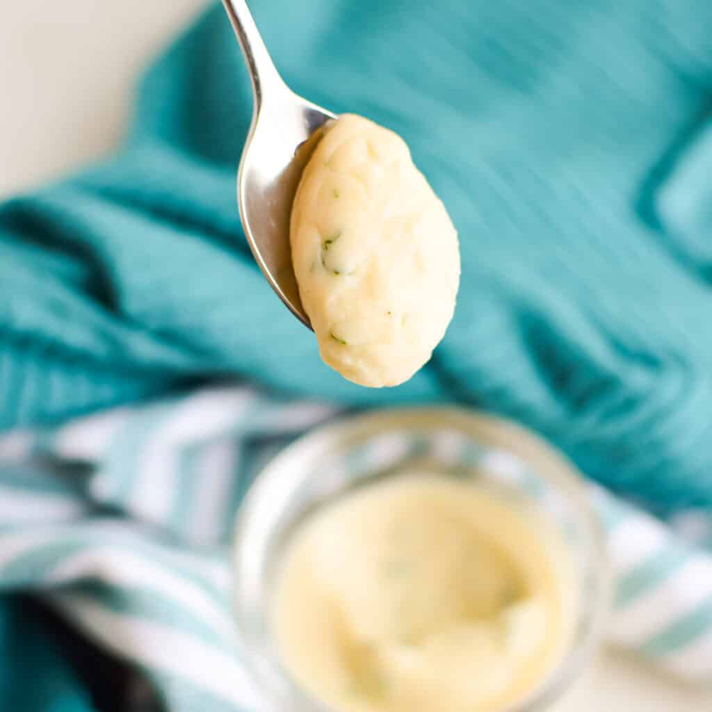 Close up on a spoonful of Cream Soup Substitute.