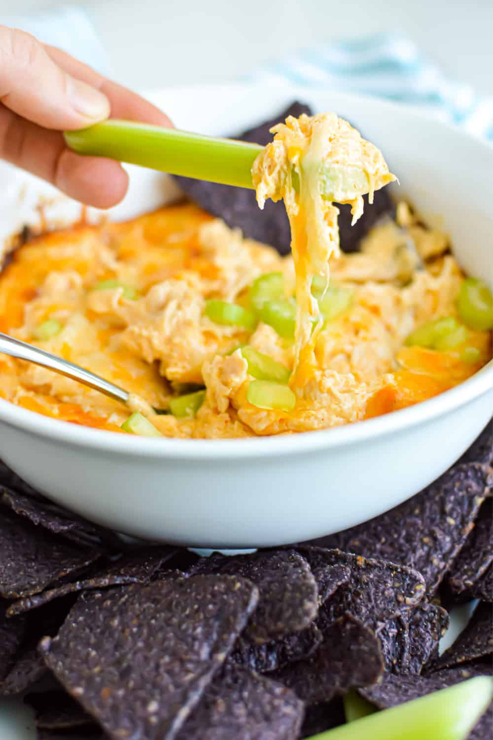 Close up of a hand scooping Spicy Buffalo Chicken Dip with a piece of celery.