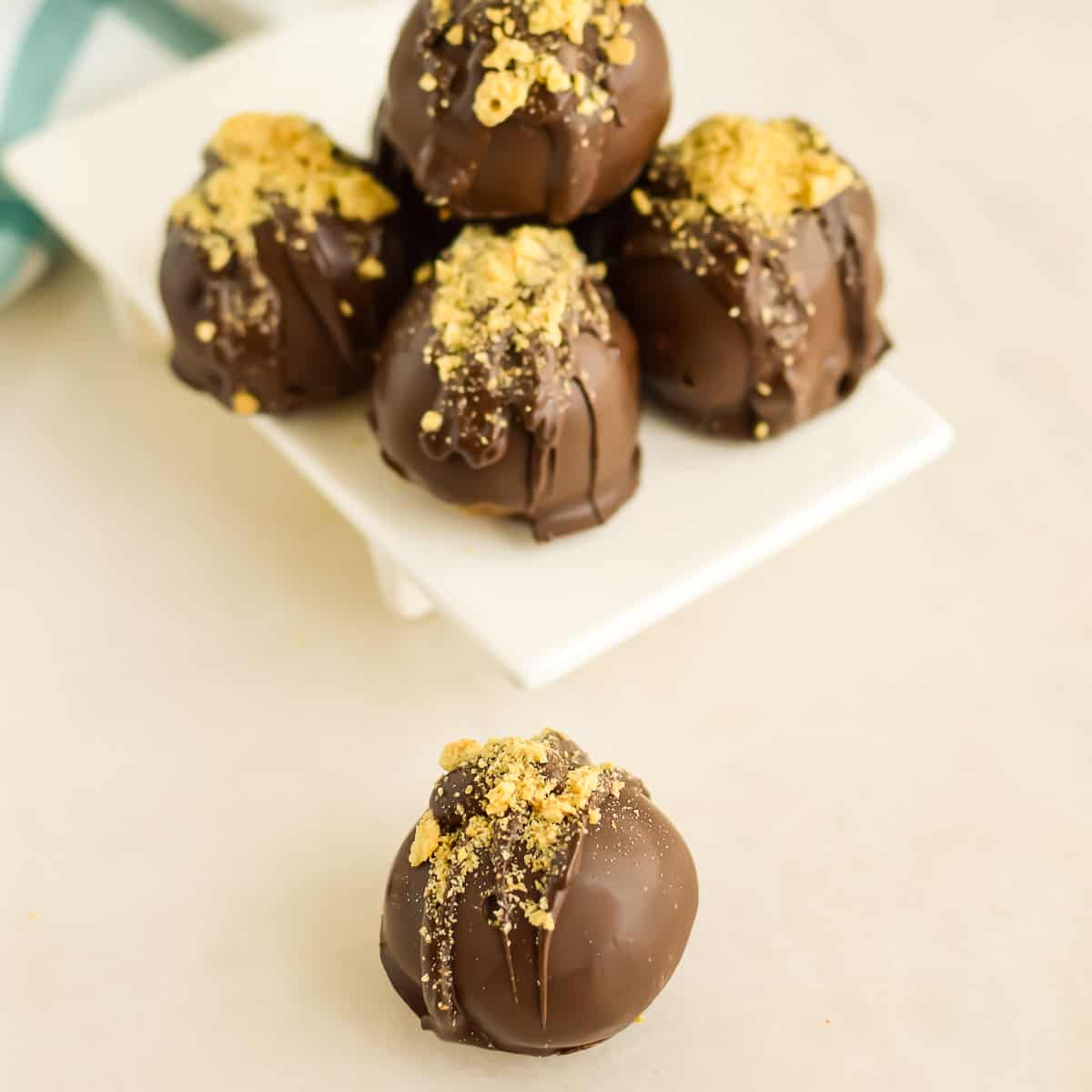 Close up of dark chocolate Pumpkin Cream Cheese Cake Balls with crushed graham crackers.