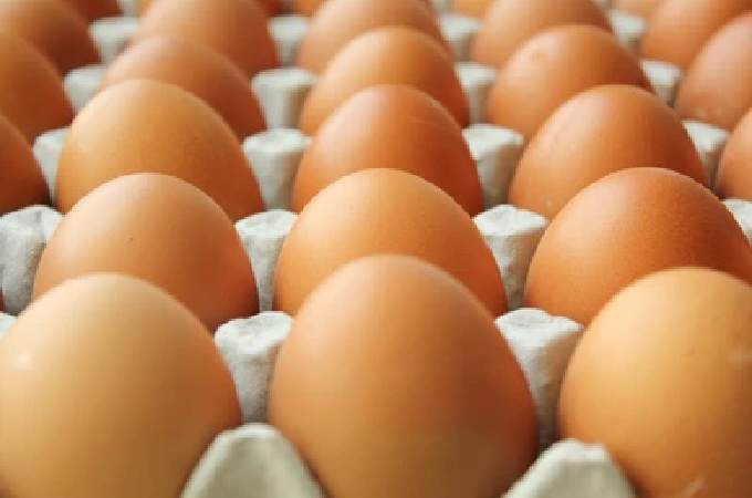 Close up of eggs in a carton