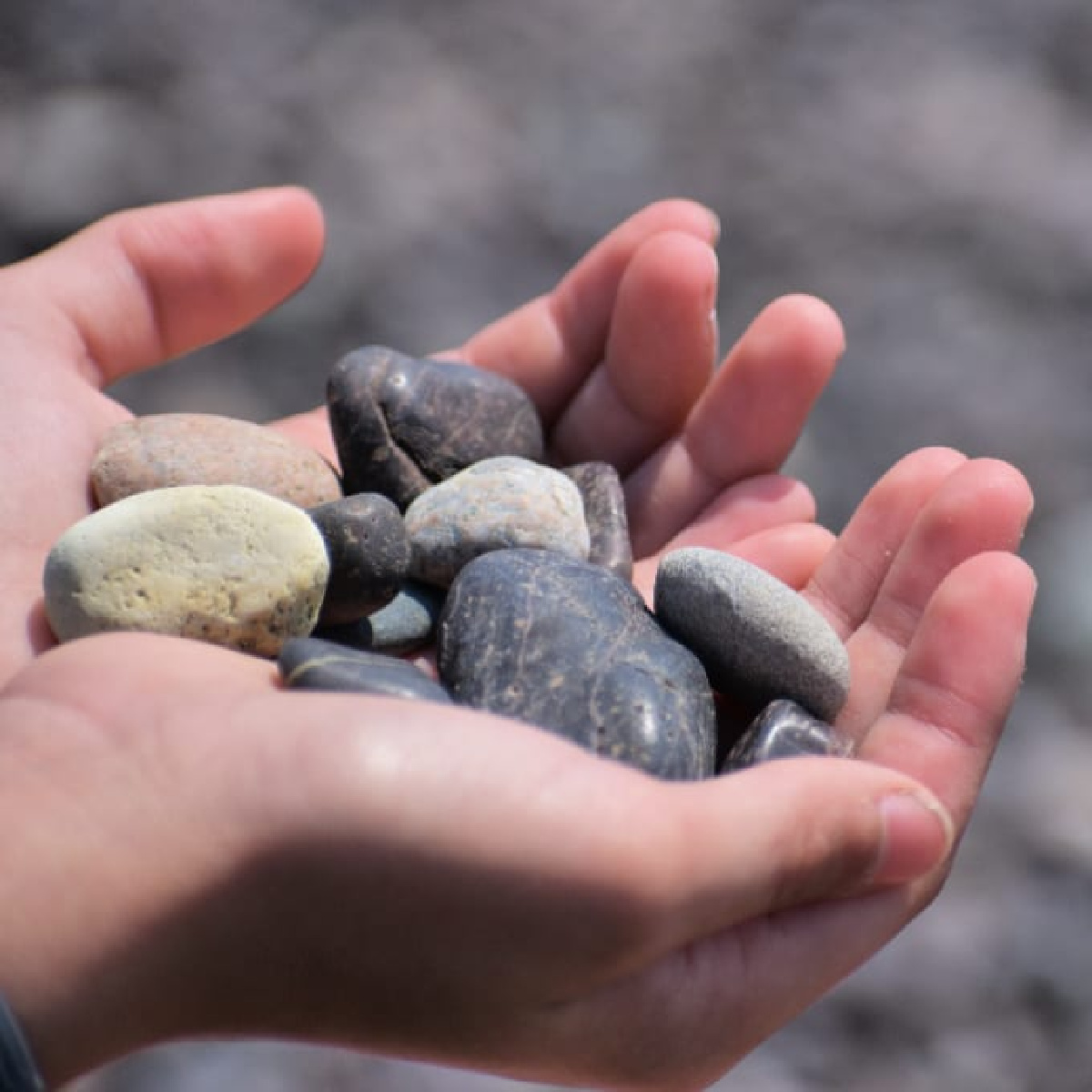 Hands holding rocks from Jasper Beach Maine.