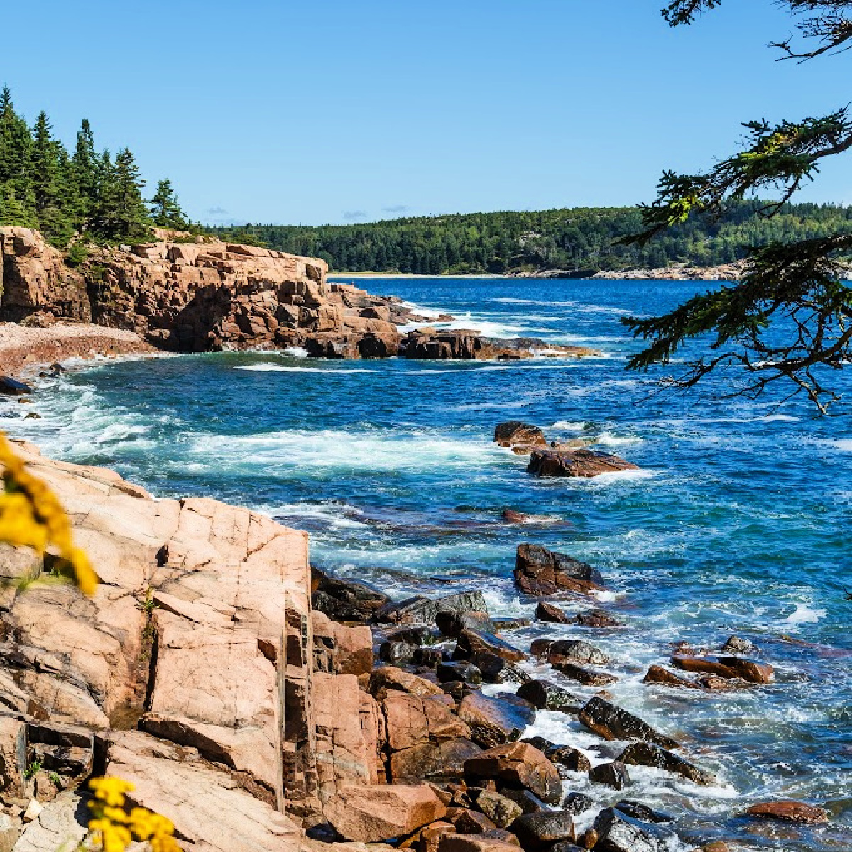 Rocky shoreline at Acadia National Park.