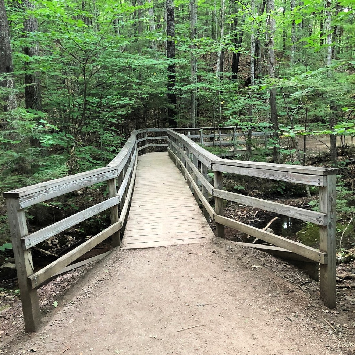 A wooden pathway in the woods.