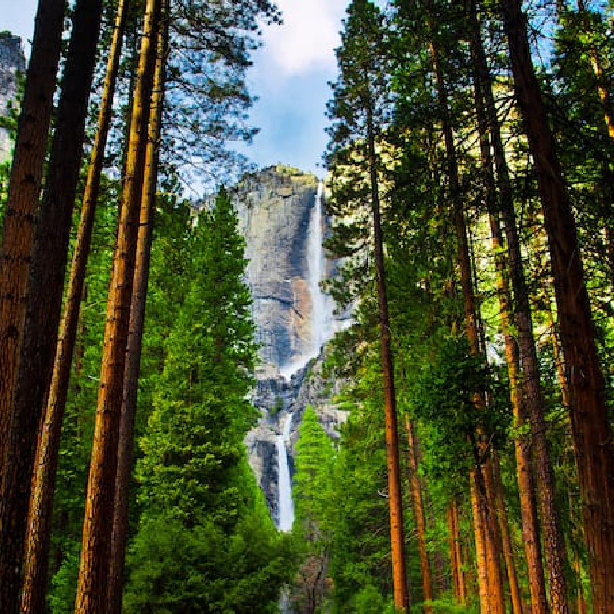 A view of Yosemite National Park.