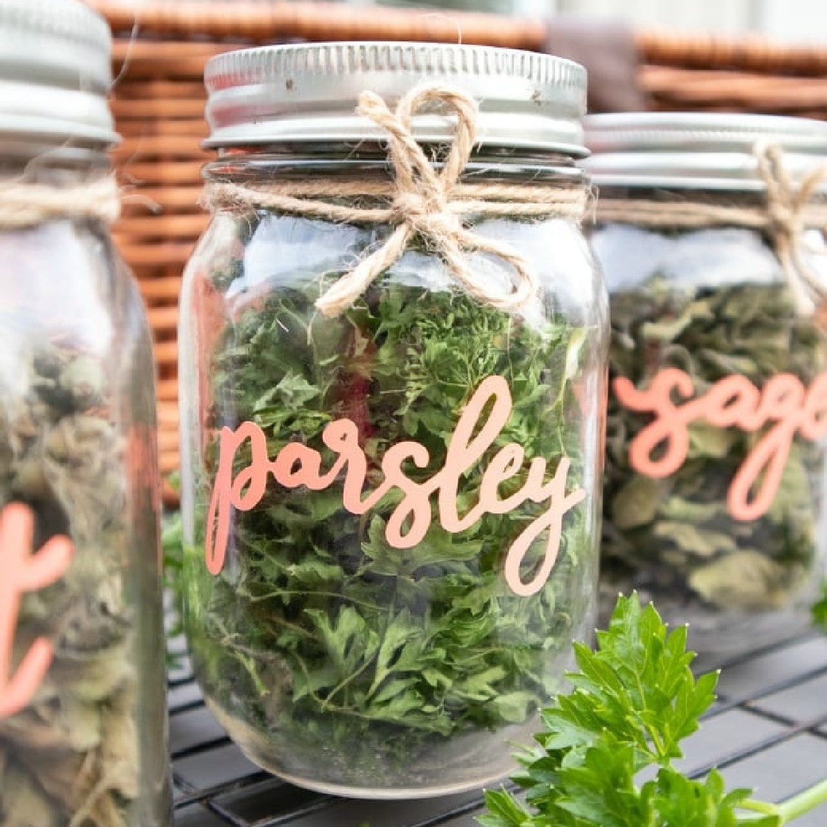 Dried Herb Mason Jars with vinyl lettering.