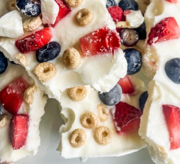 Frozen Greek Yogurt Breakfast Bark | Freezer Foodie