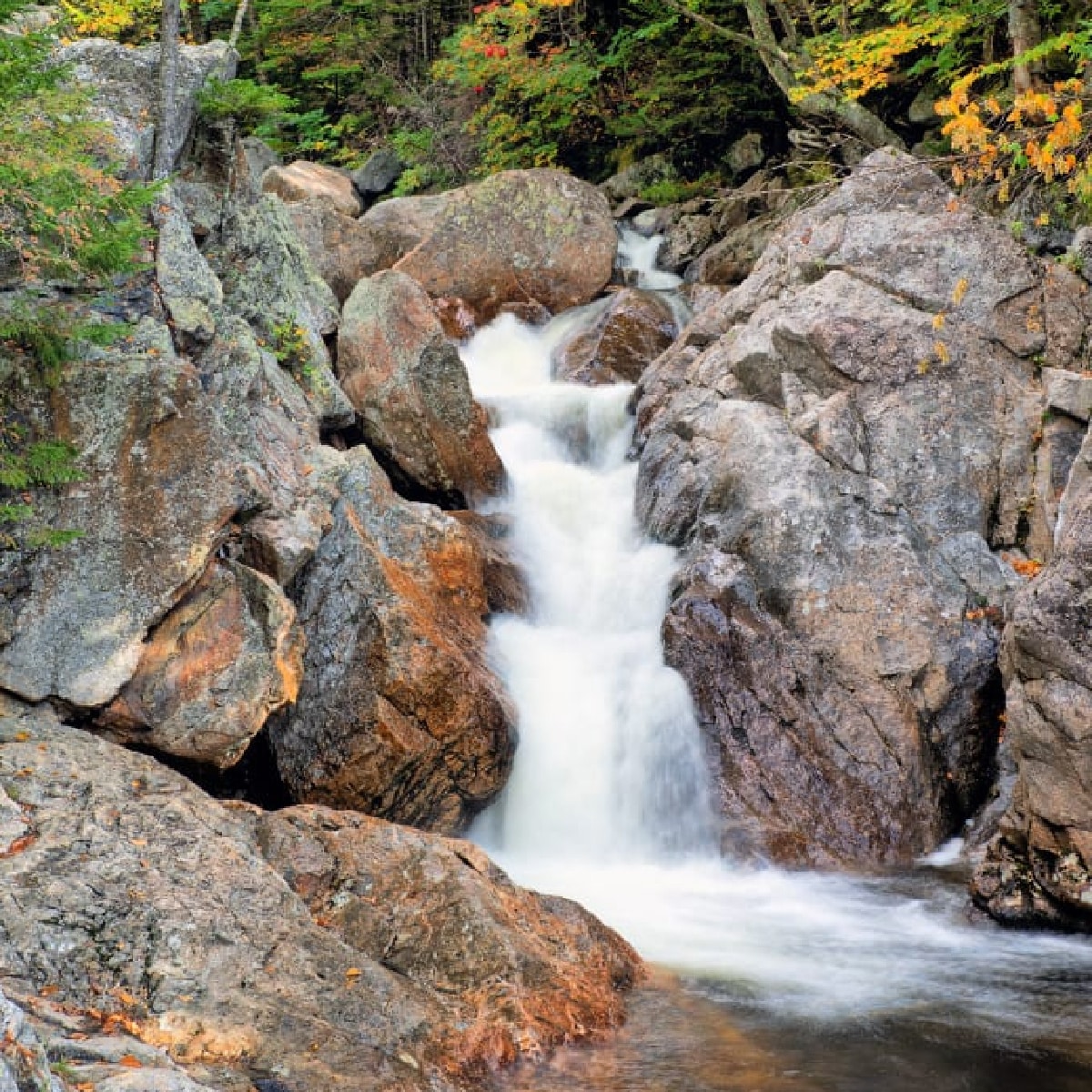 Glen Ellis Falls Pinkham Notch, NH.