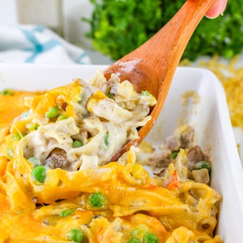 Spoonful of Leftover Pork Casserole with vegetables.