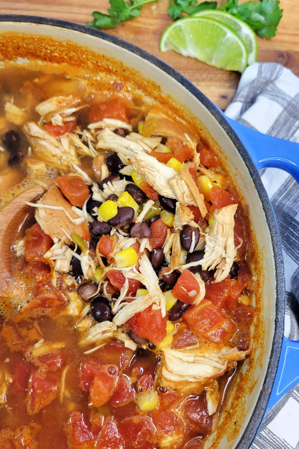 Top down view of Southwest Chicken Soup in a pot.