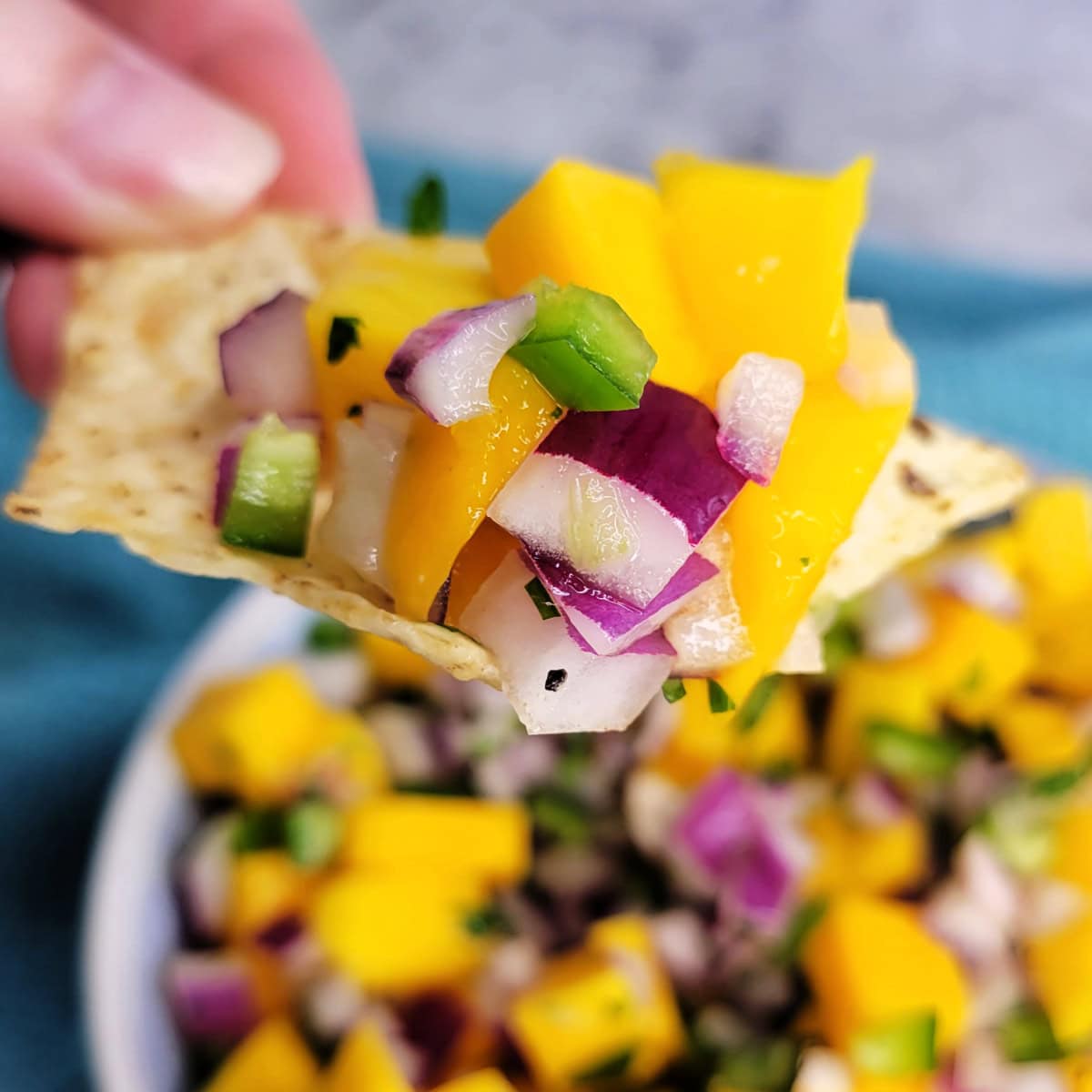 Close up of homemade mango salsa on a chip.