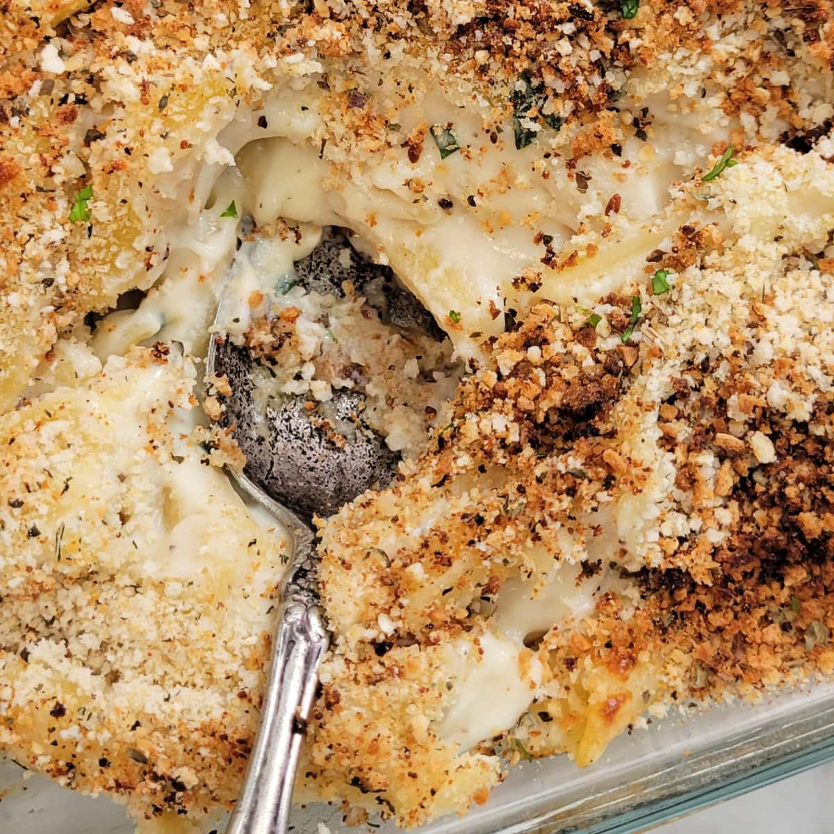 Close up of baked mac and cheese with seasoned breadcrumb topping.