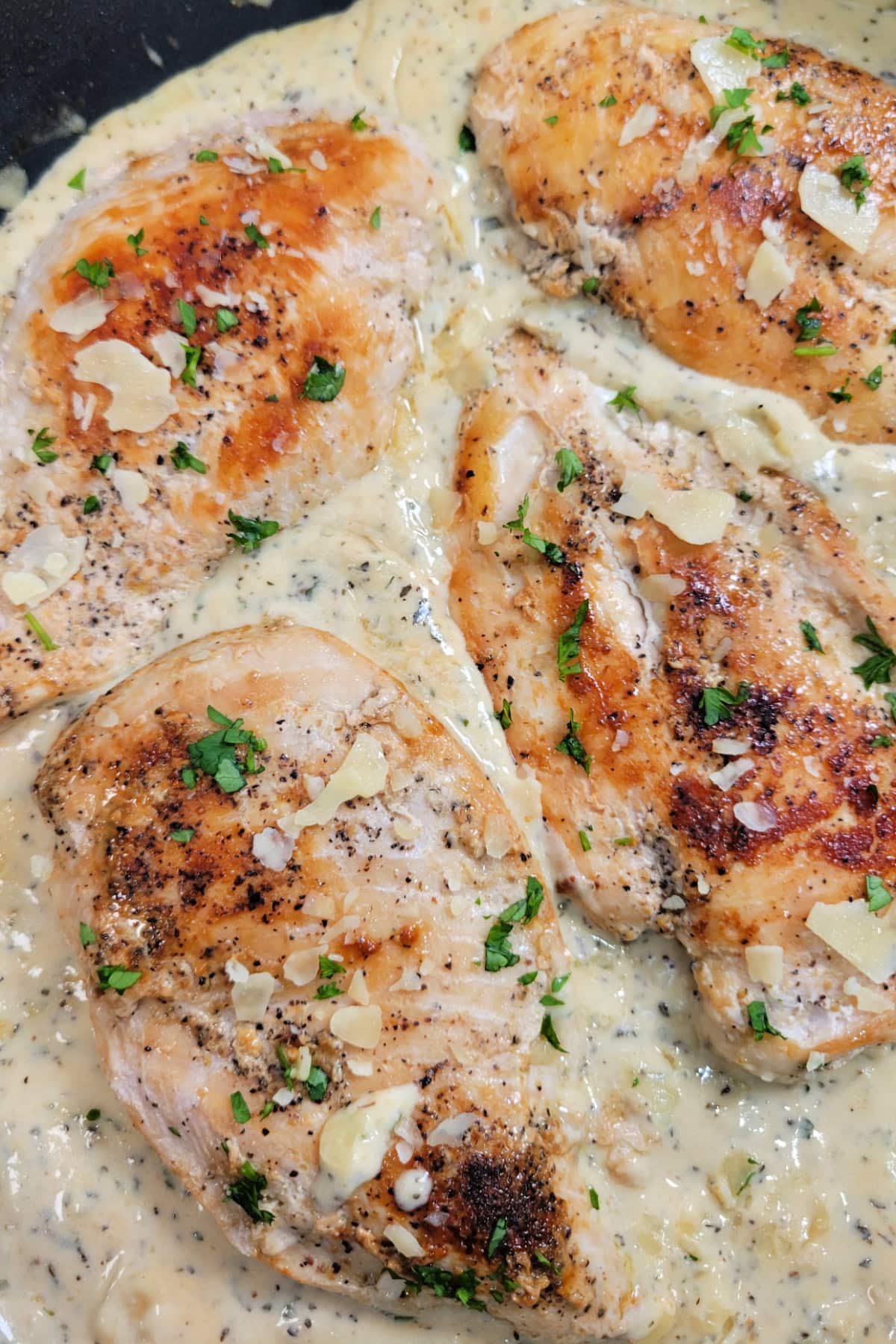 Garlic Parmesan Chicken in a skillet with cream sauce.